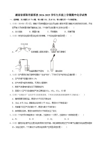 湖南省邵阳市新邵县2024-2025学年九年级上学期期中化学试卷