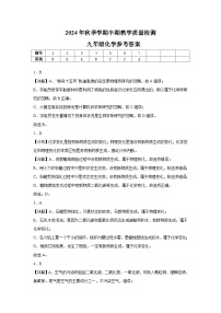 贵州省毕节市金沙县2024-2025学年九年级上学期11月期中化学试题