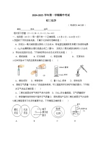 福建省厦门市湖滨中学2024-2025学年九年级上学期期中考试化学试题