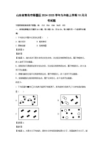 2024-2025学年山东省青岛市即墨区九年级(上)10月月考化学试卷（解析版）