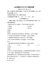 2024年山东省青岛市中考模拟化学试卷（解析版）