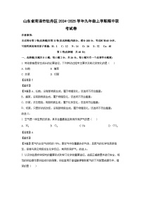 2024-2025学年山东省菏泽市牡丹区九年级(上)期中联考化学试卷（解析版）