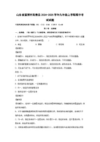 2024-2025学年山东省淄博市高青县九年级(上)期中考试化学试卷（解析版）