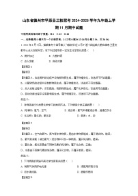 2024-2025学年山东省德州市平原县三校联考九年级(上)11月期中化学试卷（解析版）