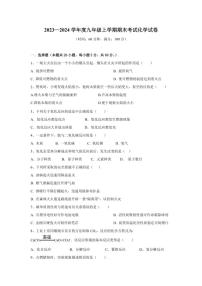 2023～2024学年黑龙江省绥化市海伦市前进同心中学九年级(上)期末考试化学试卷A(含解析)