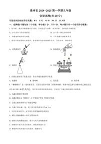 2024～2025学年贵州省遵义市九年级(上)期中化学试卷(含答案)