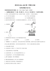 2024～2025学年贵州省遵义市九年级(上)期中化学试卷(含答案)