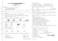 河南省平顶山市2024-2025学年九年级上学期阶段性学情分析（二）化学期中试卷