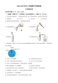 2024～2025学年河南省三门峡市渑池县九年级(上)期中学情检测化学试卷(含答案)