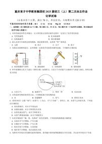 2024～2025学年重庆市育才中学校教育集团九年级(上)第二次自主作业化学试卷(含答案)