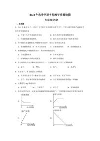 2024～2025学年贵州省毕节市金沙县九年级(上)期中化学试卷(含答案)