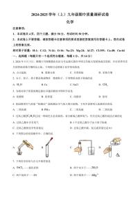 2024～2025学年河南省焦作市九年级(上)期中质量调研化学试卷(含答案)