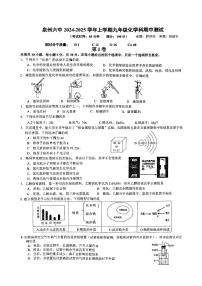 福建省泉州市第六中学2024-2025学年九年级上学期11月期中考试化学试题