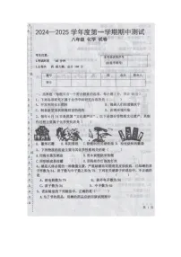 黑龙江省绥化市海伦市第三中学第十中学2024-2025学年八年级上学期11月期中联考化学试题