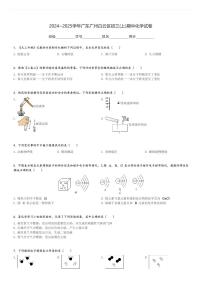 2024～2025学年广东广州白云区初三(上)期中化学试卷(含解析)