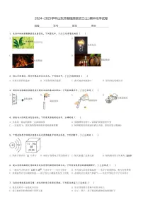 2024～2025学年山东济南槐荫区初三(上)期中化学试卷(含解析)