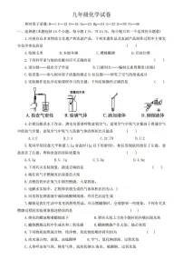 河南省洛阳市老城区2024--2025学年九年级上学期11月期中考试化学试题