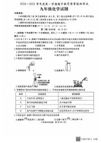 山东省济宁市曲阜市2024-2025学年九年级上学期期中考试化学试题