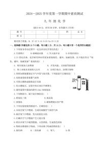 河南省驻马店市西平县2024--2025学年九年级上学期11月期中素质测试化学试题