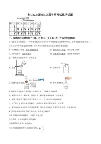 四川省资阳市安岳中学2024～2025学年九年级(上)期中化学试卷(含答案)