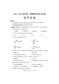 河南省洛阳市嵩县2024-2025学年九年级上学期期中考试化学试卷