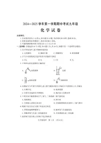 河南省洛阳市嵩县2024-2025学年九年级上学期期中考试化学试卷
