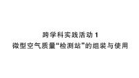 初中化学人教版（2024）九年级上册（2024）跨学科实践活动1 微型空气质量“检测站”的组装与使用作业课件ppt