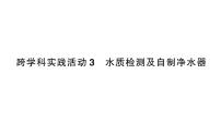 初中化学人教版（2024）九年级上册（2024）跨学科实践活动3 水质检测及自制净水器作业课件ppt