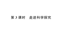 初中化学人教版（2024）九年级上册（2024）课题2 化学实验与科学探究作业ppt课件