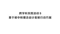 初中化学人教版（2024）九年级上册（2024）跨学科实践活动5 基于碳中和理念设计低碳行动方案作业课件ppt