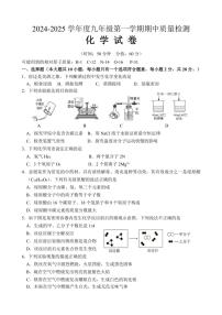 江苏省宿迁市如东实验崇文洋河等校2024～2025学年九年级(上)期中联考化学试卷(含答案)