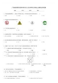 广东省东莞市石排中学2023-2024学年九年级(上)期末化学试卷(含解析)