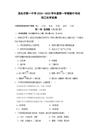 广东省茂名市第一中学2024-2025学年九年级上学期期中考试化学试题