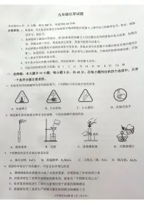 广东省佛山市2024-2025学年九年级上学期期中考试化学试卷