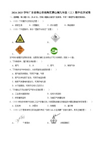 广东省佛山市南海区狮山镇2024-2025学年九年级上学期期中化学试卷