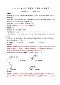 九年级化学第三次月考卷01（人教版2024，第1~6单元）：2024+2025学年初中上学期第三次月考.zip