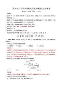 九年级化学第三次月考卷（江苏专用，沪教版2024第1~6章）：2024+2025学年初中上学期第三次月考.zip