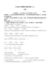 河南省安阳市滑县师达学校2024～2025学年九年级(上)期中调研化学试卷(含答案)