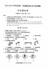 山东省青岛市胶州市2024-2025学年九年级上学期11月期中考试化学试题
