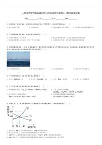 山东省济宁市鱼台县2023-2024学年九年级(上)期末化学试卷(含解析)