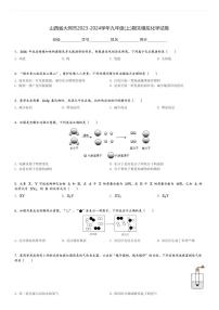 山西省大同市2023-2024学年九年级(上)期末模拟化学试卷(含解析)