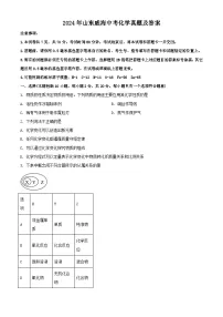 2024年山东威海中考真题化学真题及答案