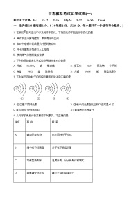 2024年青海省中考化学第一次模拟检测试卷（原卷版）-A4