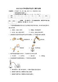 河南省信阳市新县2024-2025学年九年级上学期期中质量监测化学试卷