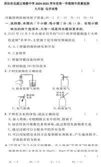 贵州省贵阳市花溪区燕楼中学2024--2025学年九年级上学期11月期中考试化学试题