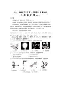 山东省济南市槐荫区2024-2025学年九年级上学期期中考试化学试卷