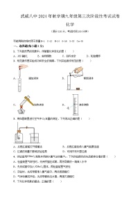 甘肃省武威市凉州区武威第八中学2024-2025学年九年级上学期11月月考化学试题