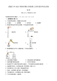 甘肃省武威市凉州区武威第八中学2024-2025学年九年级上学期11月月考化学试题