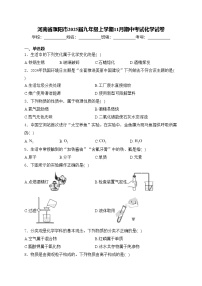 河南省濮阳市2025届九年级上学期11月期中考试化学试卷(含答案)