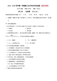 2024-2025学年九年级上学期第三次月考化学优选卷（武汉专用）（原卷版）-A4